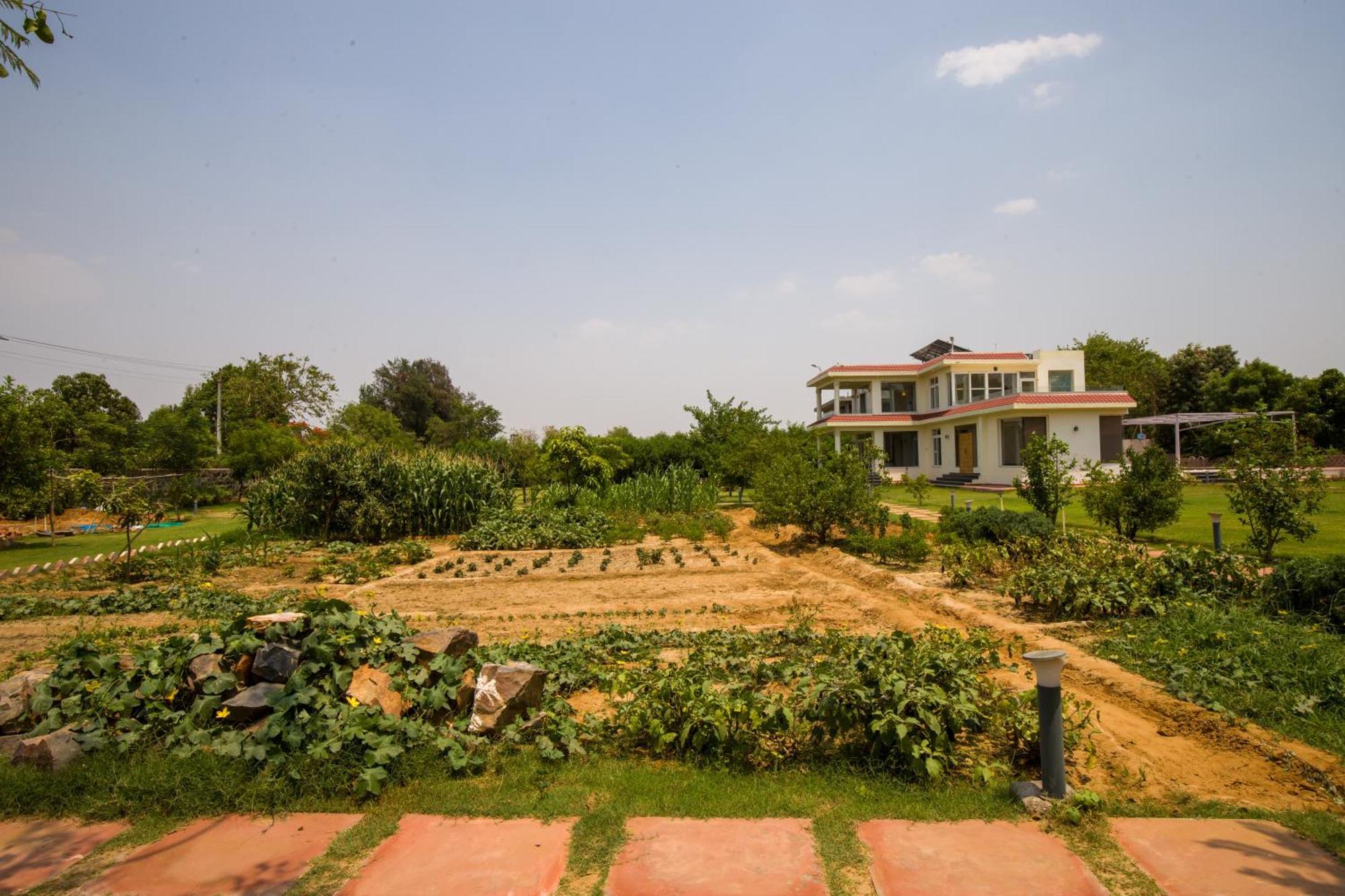 Alaya Stays Raga 2Bhk Farmstay With An Entertainment Lounge Sohna Zewnętrze zdjęcie